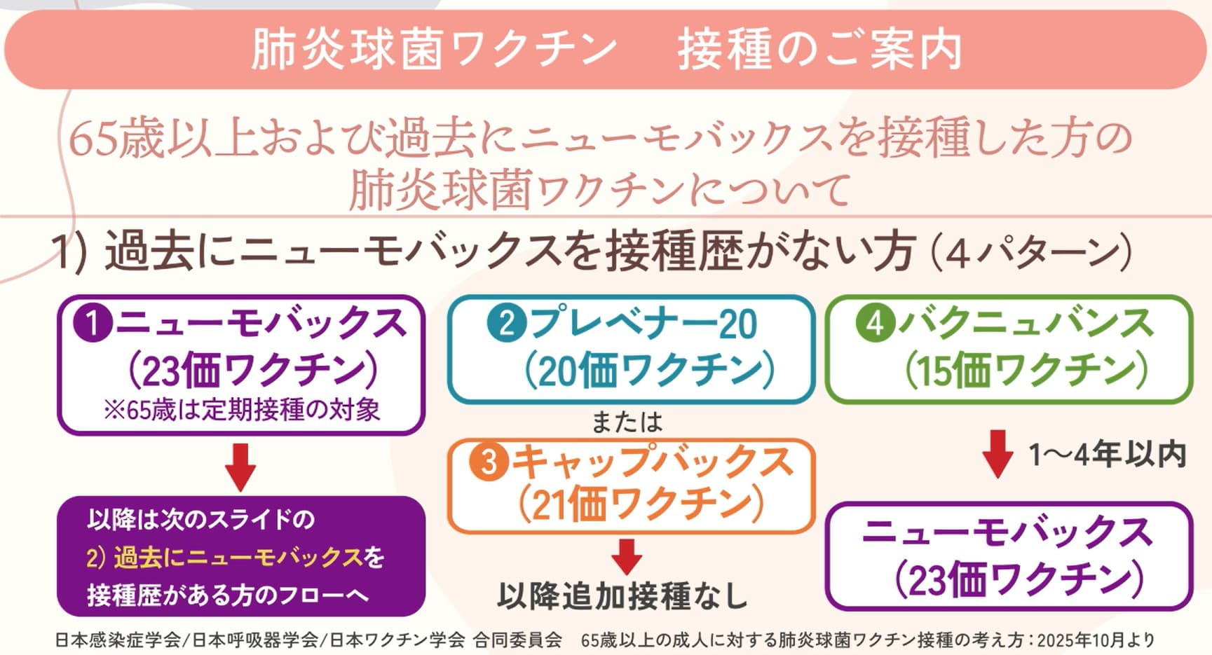 65歳以上の成人に対する肺炎球菌ワクチン接種の考え方(2024年9月)